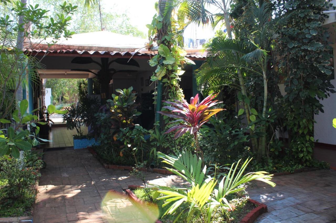 Hotel Albatros Puerto Escondido  Buitenkant foto