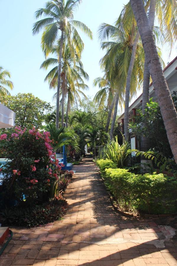 Hotel Albatros Puerto Escondido  Buitenkant foto
